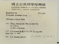 登錄號:F0019228藏品圖，第2張