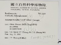 登錄號:F0019229藏品圖，第2張