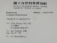 登錄號:F0019231藏品圖，第2張