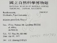 登錄號:F0019233藏品圖，第2張