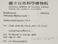 登錄號:F0019234藏品圖，第2張