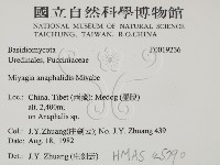 登錄號:F0019236藏品圖，第2張