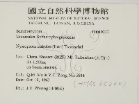 登錄號:F0019237藏品圖，第2張