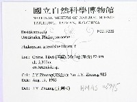 登錄號:F0019238藏品圖，第2張