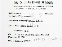 登錄號:F0019239藏品圖，第2張