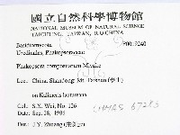 登錄號:F0019240藏品圖，第2張