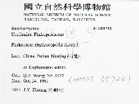 登錄號:F0019241藏品圖，第2張