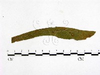 登錄號:F0019241藏品圖，第3張