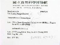 登錄號:F0019244藏品圖，第2張