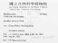 登錄號:F0019245藏品圖，第3張