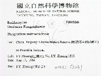 登錄號:F0019246藏品圖，第2張