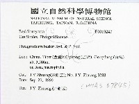 登錄號:F0019247藏品圖，第2張