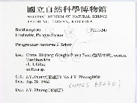 登錄號:F0019249藏品圖，第2張