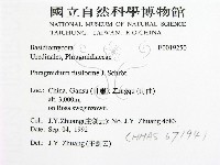 登錄號:F0019250藏品圖，第2張