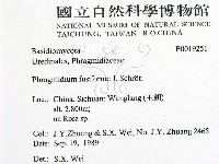 登錄號:F0019251藏品圖，第2張