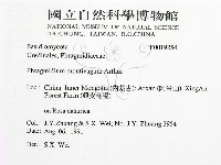 登錄號:F0019254藏品圖，第2張
