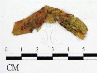 登錄號:F0019255藏品圖，第3張