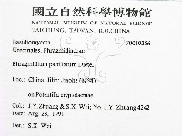登錄號:F0019256藏品圖，第2張