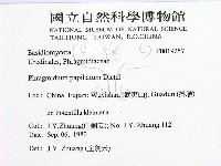 登錄號:F0019257藏品圖，第2張
