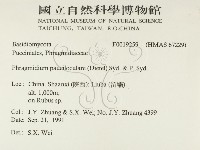 登錄號:F0019259藏品圖，第2張