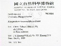 登錄號:F0019261藏品圖，第2張