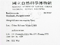 登錄號:F0019262藏品圖，第2張