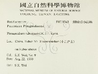 登錄號:F0019263藏品圖，第2張