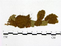 登錄號:F0019264藏品圖，第1張