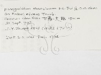 登錄號:F0019265藏品圖，第3張