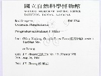 館號:F0019266藏品圖，第2張