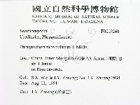 登錄號:F0019268藏品圖，第2張