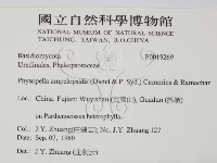 登錄號:F0019269藏品圖，第2張
