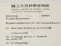 登錄號:F0019270藏品圖，第2張