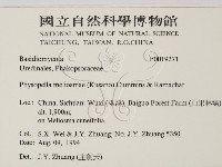 登錄號:F0019271藏品圖，第2張