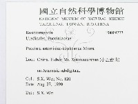登錄號:F0019273藏品圖，第3張