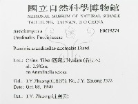 登錄號:F0019274藏品圖，第3張