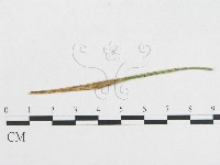 登錄號:F0019274藏品圖，第5張