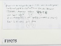 登錄號:F0019275藏品圖，第2張