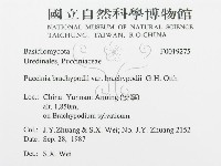 登錄號:F0019275藏品圖，第3張