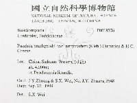 登錄號:F0019276藏品圖，第3張