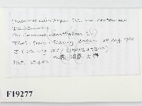 登錄號:F0019277藏品圖，第2張