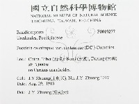 登錄號:F0019277藏品圖，第3張