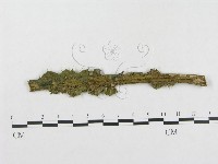 登錄號:F0019277藏品圖，第1張