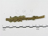 登錄號:F0019277藏品圖，第4張