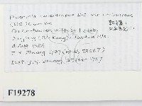 登錄號:F0019278藏品圖，第2張