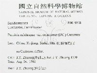 登錄號:F0019278藏品圖，第3張