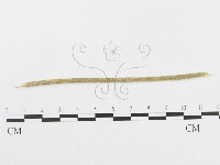 登錄號:F0019278藏品圖，第1張