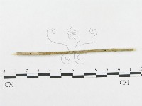 登錄號:F0019278藏品圖，第4張