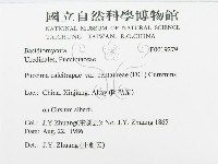 登錄號:F0019279藏品圖，第3張
