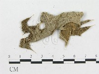 登錄號:F0019280藏品圖，第4張